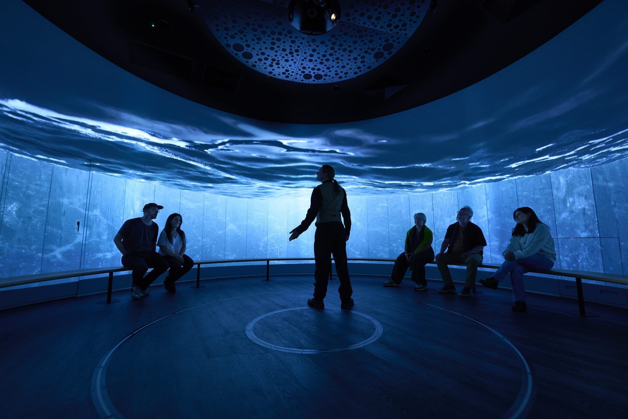 Collective Image Mosaic Item